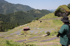 初めての千枚田