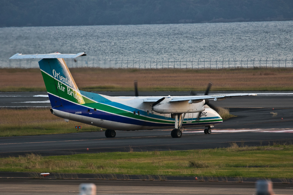 どこの航空会社？