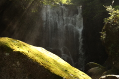 桑の木の滝