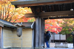 撮れましたか？