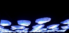 流氷の下？