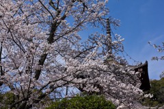 根来寺