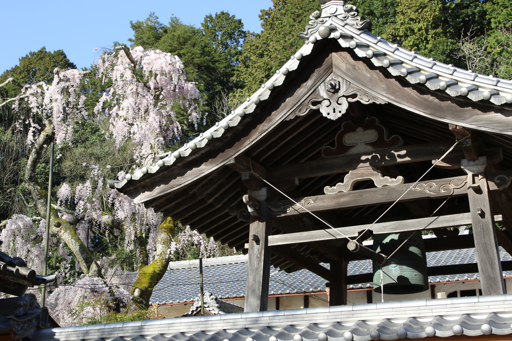 大野寺