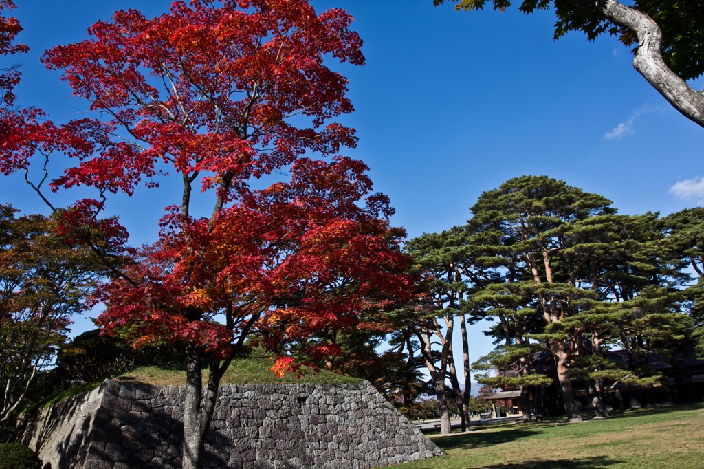 紅葉