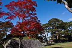 紅葉