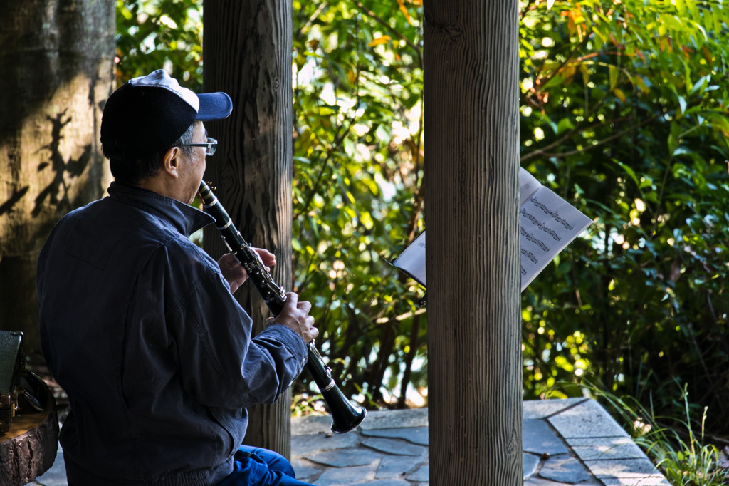 森の演奏家
