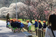 園児も