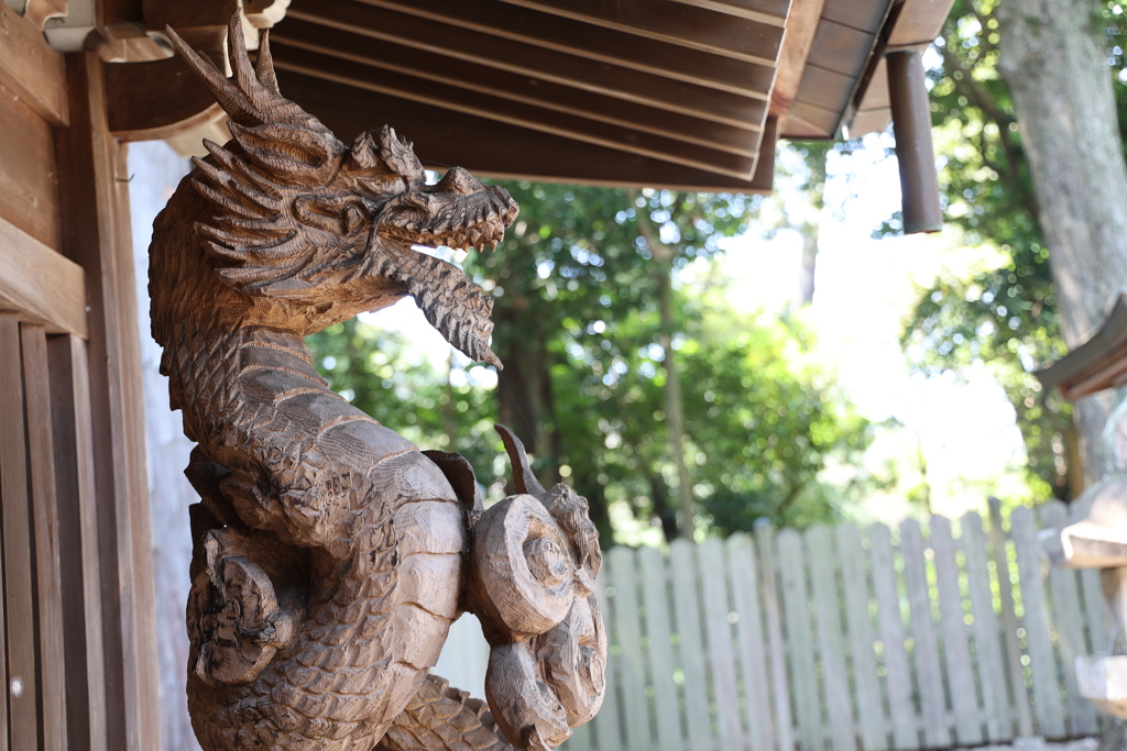 龍