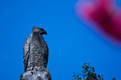 チェーンソーアート