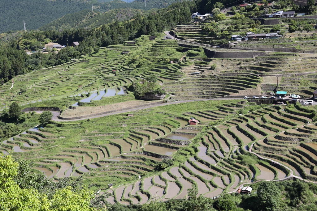 丸山千枚田