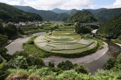 あらぎ島
