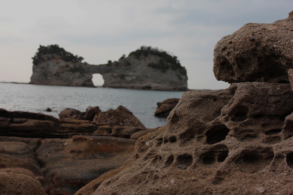 これも蜂の巣？