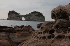 これも蜂の巣？