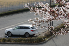 年甲斐もなく