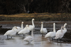 そろそろ行きませんか？