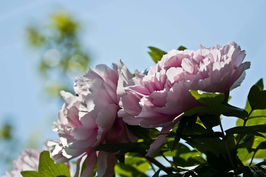 気持ちいい～！