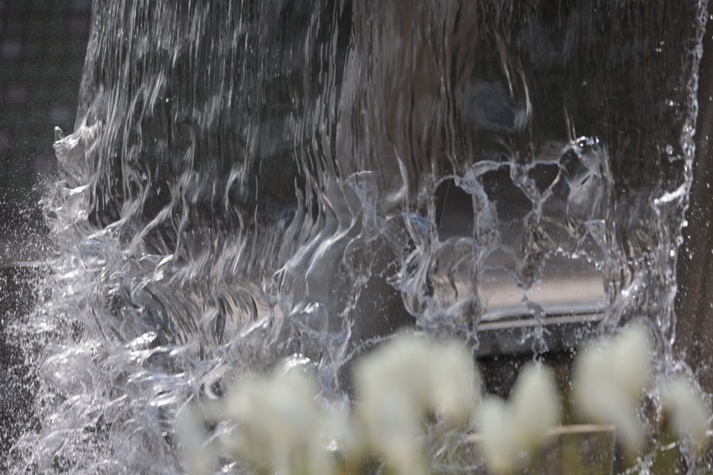 水温む
