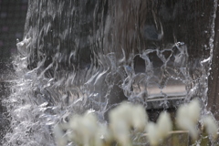 水温む