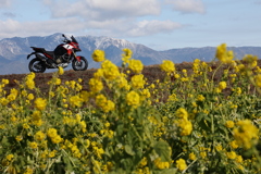 バイクと