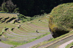 シンボル