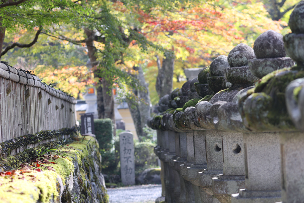 徳川家康