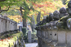 徳川家康