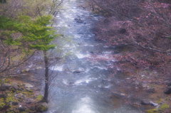 奥日光～湯川の春