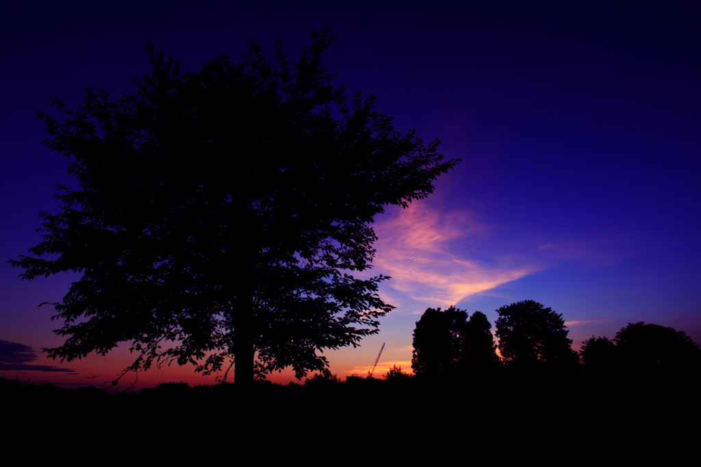 EVENING GLOW