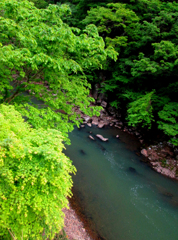 新緑の渓流