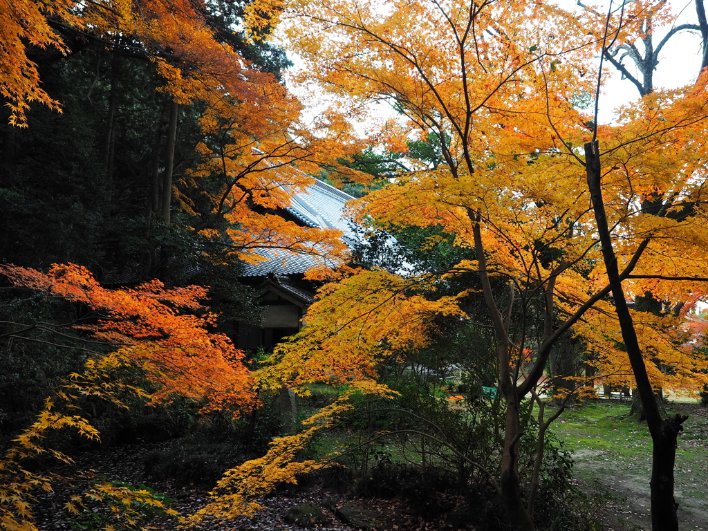 長圓寺4