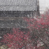 雪の近江八幡