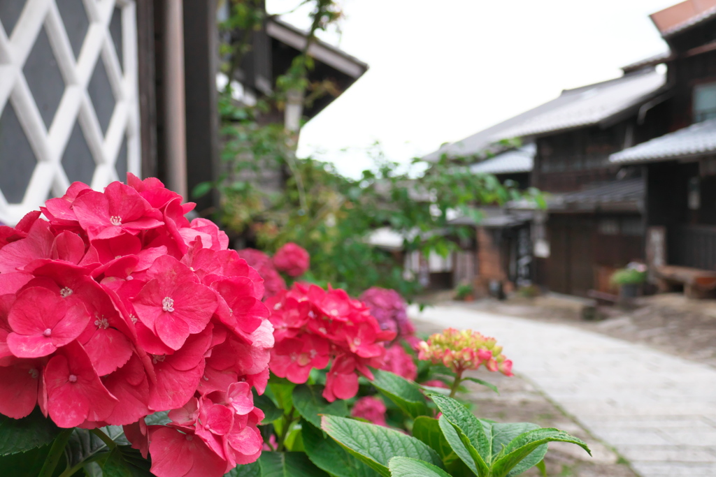 馬籠宿3