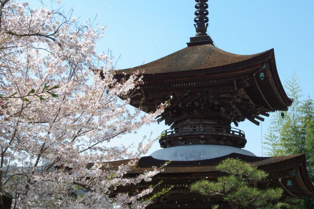 大樹寺多宝塔02