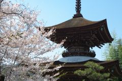 大樹寺多宝塔02