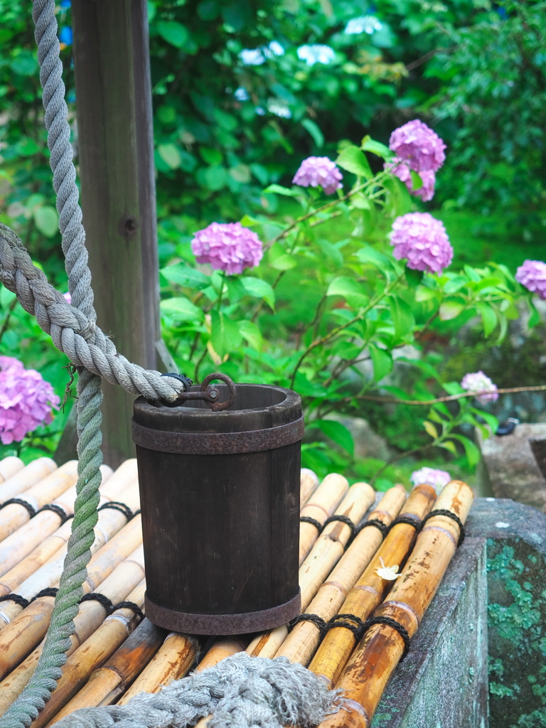 本光寺2