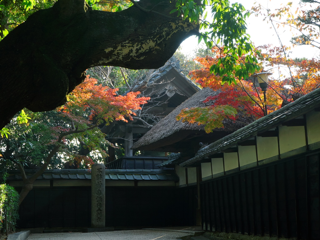 貞照院1
