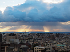 和歌山城4