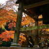 長圓寺の紅葉3