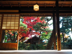 尚古荘の紅葉3