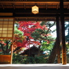 尚古荘の紅葉3