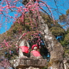 天神様の梅3