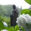 本光寺３