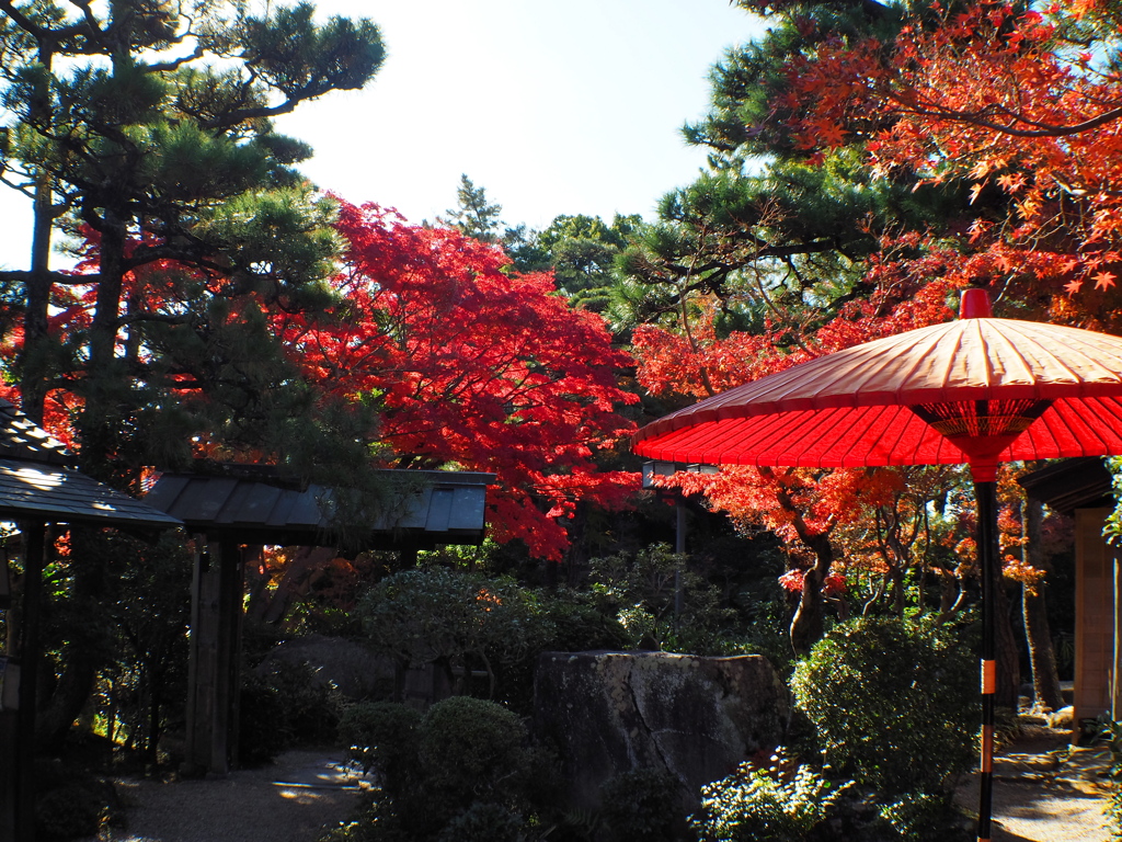 尚古荘の紅葉1