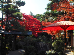 尚古荘の紅葉1