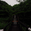 平原のホタル4