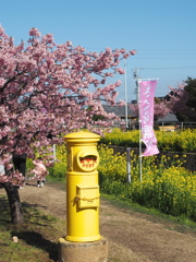 免々田川菜の花・桜まつり1