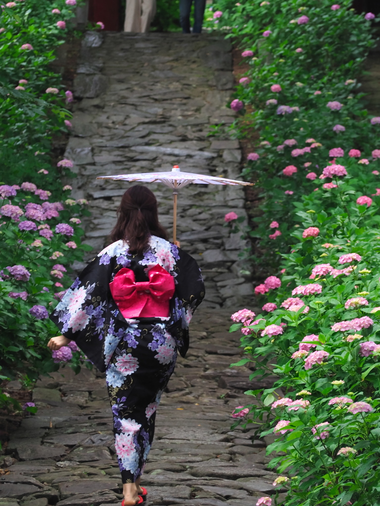 本光寺2