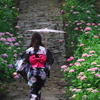本光寺2