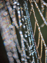 水滴
