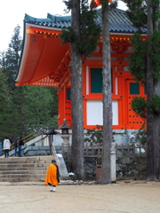 高野山1